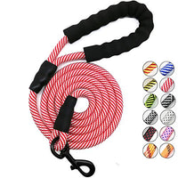 Correa para perro MayPaw resistente, de nailon de 1/2 x 6 pies, con asa acolchada suave y gruesa para perros grandes y medianos - BESTMASCOTA.COM