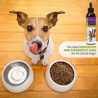 UroMAXX Urinaria Tract, Kidney & Bladder Fórmula para gatos y perros 6oz - BESTMASCOTA.COM