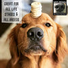 Wet Noses All Natural Dog Treats, Made in USA, 100% USDA Certified Organic, Non-GMO Project Verified - BESTMASCOTA.COM