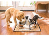 PetSafe Drinkwell 360 Premium Carbon Filters, Dog and Cat Water Fountain Filters, 3 Pack or 12 Pack - BESTMASCOTA.COM