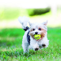 Kong Squeak Air Balls Juguete para perro (6 unidades), mediano - BESTMASCOTA.COM