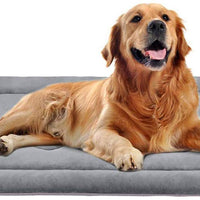 JoicyCo - Colchón antideslizante para cama de perro, 100 % lavable, para mascotas - BESTMASCOTA.COM