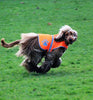 Chaleco reflectante de seguridad para perros, 5 tamaños para adaptarse a perros de 10 libras – 130 libras: alta visibilidad para actividades al aire libre día y noche, mantiene a tu perro visible, seguro de coches y accidentes de caza | Blaze Orange chale - BESTMASCOTA.COM