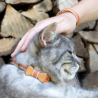 Collar en forma de corbata de lazo para la seguridad de gatos independientes, suave, ajustable y pulsera de la amistad para usted - BESTMASCOTA.COM