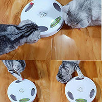 Juguete para gato robótico interactivo PetDroid, juguete para colgar eléctrico oculto con movimiento para gato y ratón, segunda generación (negro) (cola de ratón blanco) - BESTMASCOTA.COM