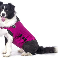 X@HE - Chaleco de alivio de ansiedad para perro, chaleco para mantener la comodidad, chaleco para perros de talla XS, M, L, XL, azul marino, gris, rosa, rojo y camuflaje - BESTMASCOTA.COM