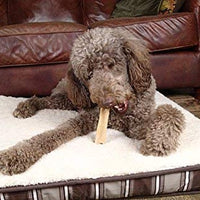 Yak Snak Dog Chews - All Natural Hard Cheese Himalayan Dog Treats - Long Lasting Dog Chews, Made from Yak Milk, Small, Medium. Large & Extra Large Sizes - BESTMASCOTA.COM