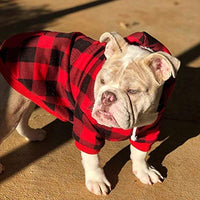 KOOLTAIL suéteres con capucha para perro, con sombrero - BESTMASCOTA.COM