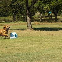 iFetch Interactive Ball Launchers for Dogs - BESTMASCOTA.COM