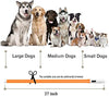 Collar LED para perro, recargable por USB, collar brillante para perro, cuello iluminado, mejora la seguridad y visibilidad de la mascota en la noche, 3 modos intermitentes, resistente al agua, collar iluminado para perros pequeños y medianos grandes - BESTMASCOTA.COM