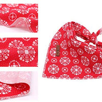 Lionet Paws Bandana para perro pequeño, mediano y grande, pañuelo para perro o gato - BESTMASCOTA.COM