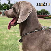 SGODA - Collar de entrenamiento para perros - BESTMASCOTA.COM