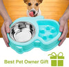 Ordermore Slow Feeder Bowl for Small Dogs & Cats - BESTMASCOTA.COM