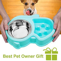 Ordermore Slow Feeder Bowl for Small Dogs & Cats - BESTMASCOTA.COM