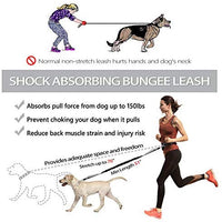 Correa para perro de LANNEY, manos libres, para correr, caminar, correr, entrenar senderismo, correa elástica retráctil para perros medianos a grandes, cinturón de cintura ajustable, costuras reflectantes, doble asa - BESTMASCOTA.COM