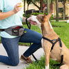 Leashboss - Cinturón de entrenamiento para perros, bolsa de almacenamiento, dispensador de bolsas de caca - BESTMASCOTA.COM