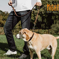 Mighty Paw Collar de cuero para entrenamiento, collar Martingale, cadena de acero inoxidable, calidad premium, collar de cadena limitada - BESTMASCOTA.COM