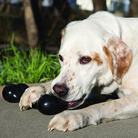 KONG - Extreme Goodie Boneª - BESTMASCOTA.COM