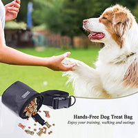 Vivaglory - Bolsa de regalo para perros con manos libres y cintura ajustable y dispensador de bolsas de residuos para perros, 2 maneras de llevar - BESTMASCOTA.COM
