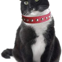 Outlaw rojo Studded piel Seguridad gato collar - BESTMASCOTA.COM
