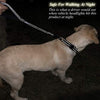 Vivaglory Correa corta para perro con asa acolchada, doble correa de nailon reflectante para mascotas para entrenar, correa para perros de tamaño mediano a grande - BESTMASCOTA.COM