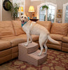 Pet Gear Easy Step II escaleras extra anchas para mascotas, 2 peldaños/para gatos y perros de hasta 200 libras - BESTMASCOTA.COM