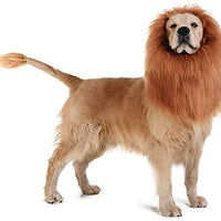 Peluca de melena de león para perro, realista y divertida, melena de león para perros, melena de león complementaria para disfraces de perro, peluca de león para perros de tamaño mediano a grande - BESTMASCOTA.COM