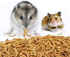 JARDTEC sin OMG para comidas secas – 100 % naturales para pájaros, pollos, erizo, hámster, peces reptiles tortugas - BESTMASCOTA.COM