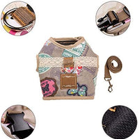 Pet Club - Arnés de gato a prueba de escape, supercómodo, totalmente ajustable, doble acolchado, arnés, collar de entrenamiento para gato - BESTMASCOTA.COM