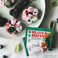 Sun chlorella- rejuv-a-wafers- Chlorella & Eleuthero Superfood Suplemento para perros y gatos (60 Obleas) - BESTMASCOTA.COM