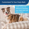 PetSafe Spray Bark Dog Collar - BESTMASCOTA.COM