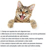 WoLover Cat Catnip Sticks Natural Matatabi Silvervine Sticks – Limpieza de dientes Molar Herramientas Gatito Gato Masticar Juguete Natural Catnip Ratón Gato Juguete - BESTMASCOTA.COM