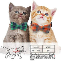 KUDES - Juego de 2 collares para gato con pajarita y campana para gatitos y algunos cachorros, ajustable de 7.8 a 10.5 pulgadas - BESTMASCOTA.COM