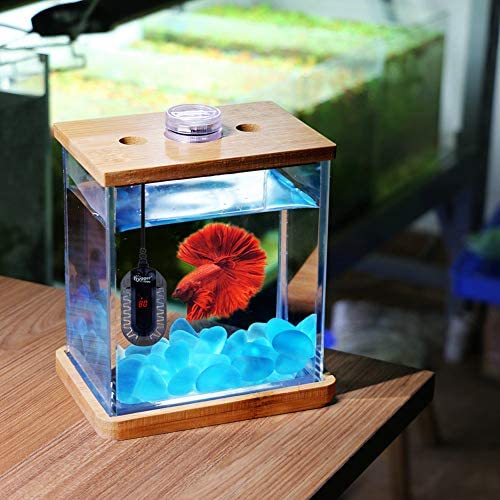  PULACO Mini calentador de acuario de 50 W con controlador  externo y pantalla de temperatura LED, termostato sumergible ajustable para  tanque de peces Betta : Productos para Animales