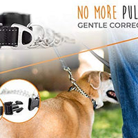 Collar de entrenamiento Mighty Paw, collar Martingale, calidad premium, limitado, collar cincha, collar reflectante para perros - BESTMASCOTA.COM