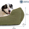 American Kennel Club - BESTMASCOTA.COM