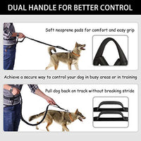 Correa para perro de LANNEY, manos libres, para correr, caminar, correr, entrenar senderismo, correa elástica retráctil para perros medianos a grandes, cinturón de cintura ajustable, costuras reflectantes, doble asa - BESTMASCOTA.COM