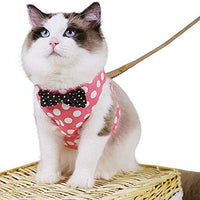 CROWNY Juego de arnés y correa para gato, sin tirones, a prueba de escape, chaleco para gato con lazo, lunares, chamarra fácil para caminar y correr - BESTMASCOTA.COM