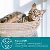 Maxxicat - MaxxiUtract Urinary and Bladder Supplement for Cats - Ayuda a prevenir la recurrencia UTI, soporta el control de la vejiga de línea y el sistema de tracto urinario Salud - Cranberry Formula Powder 2.1 oz - BESTMASCOTA.COM