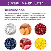 Fruitables – Moldes para perros con calabaza y manzana - BESTMASCOTA.COM