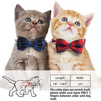 KUDES - Juego de 2 collares para gato con pajarita y campana para gatitos y algunos cachorros, ajustable de 7.8 a 10.5 pulgadas - BESTMASCOTA.COM