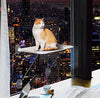 LsaiFater All Around 360° Sunbath and Lower Support Safety Iron Cat Window Perch, Cat Hammock Window Seat for Any Cats - BESTMASCOTA.COM