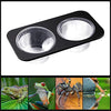 Bowls Gecko Feeding Ledge, Reptile Suction Cup Food Dish for Snakes Lizards Spiders Chameleons Corn Snakes Iguanas Reptiles - BESTMASCOTA.COM