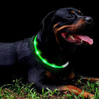 Collar LED para perro, recargable por USB, collar brillante para perro, cuello iluminado, mejora la seguridad y visibilidad de la mascota en la noche, 3 modos intermitentes, resistente al agua, collar iluminado para perros pequeños y medianos grandes - BESTMASCOTA.COM