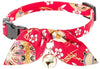 Necoichi Kimono - Collar para gato - BESTMASCOTA.COM