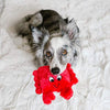 ZippyPaws Squeakie Pad - Peluche para perro - BESTMASCOTA.COM