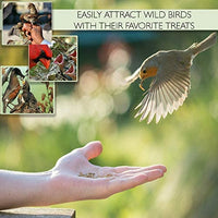 PICKY NEB 100% Non-GMO Dried Mealworms - Whole Large Meal Worms Bulk - High-Protein Treats Perfect for Your Chickens, Ducks, Wild Birds - BESTMASCOTA.COM