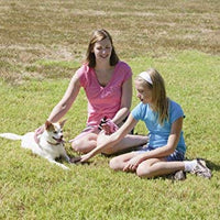 SABRE Spray para perros – Protector de máxima resistencia para pimienta Spray para perro – totalmente natural y eficaz - BESTMASCOTA.COM