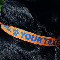 Collar de perro personalizado premium con cierre de metal – disponible en 20 colores + varios tamaños - BESTMASCOTA.COM