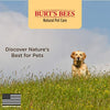 Burt's Bees - Champú natural sin agua para perros - BESTMASCOTA.COM